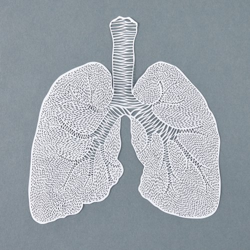 Lasercut Paper Lungs