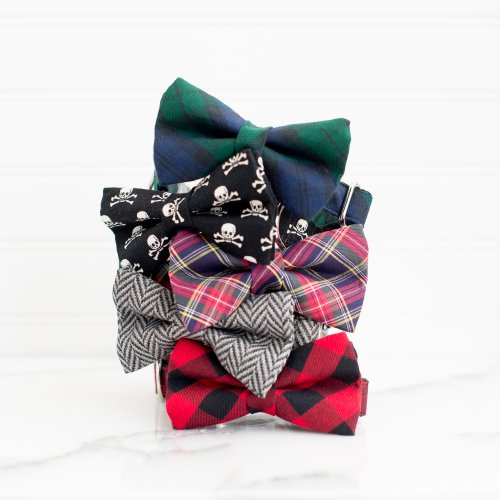 Bow Tie Dog Collars