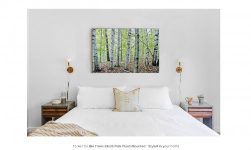 Forest for the Trees : 24x36 Plak Flush Mounted