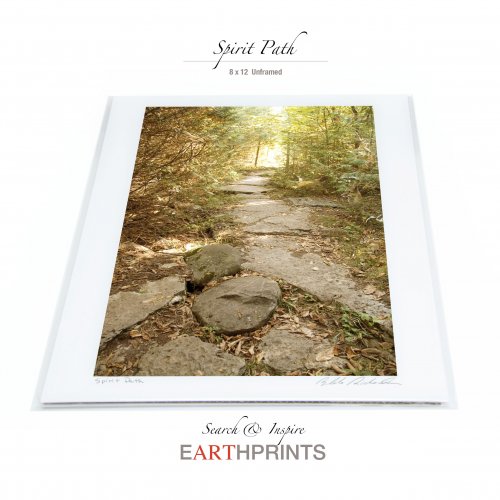 Spirit Path : 8x12 Unframed