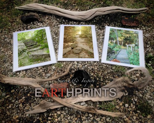 Search & Inspire Earthprints