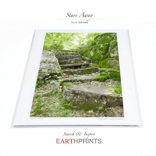 Stare Away : 8x12 Unframed