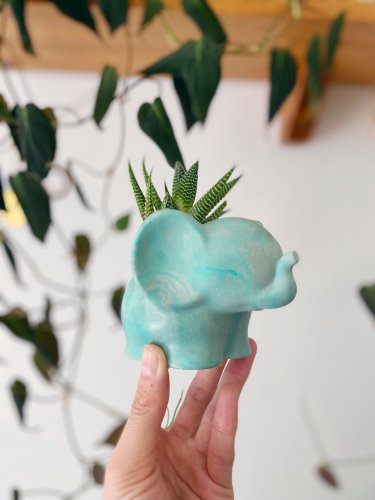 Elephant Planter with succulent 