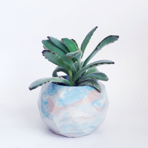 Geometric sphere planter with succulent 