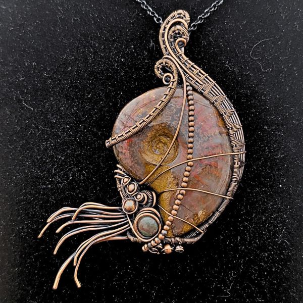Wire Wrapped Nautilus