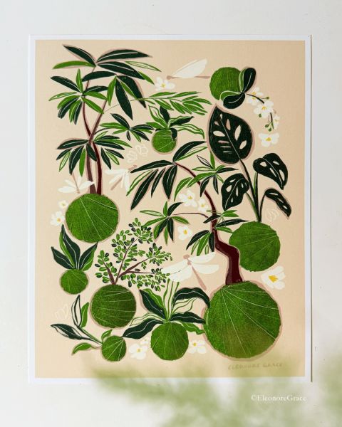 Kokedama