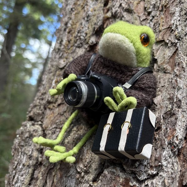Woodland Felted Characters