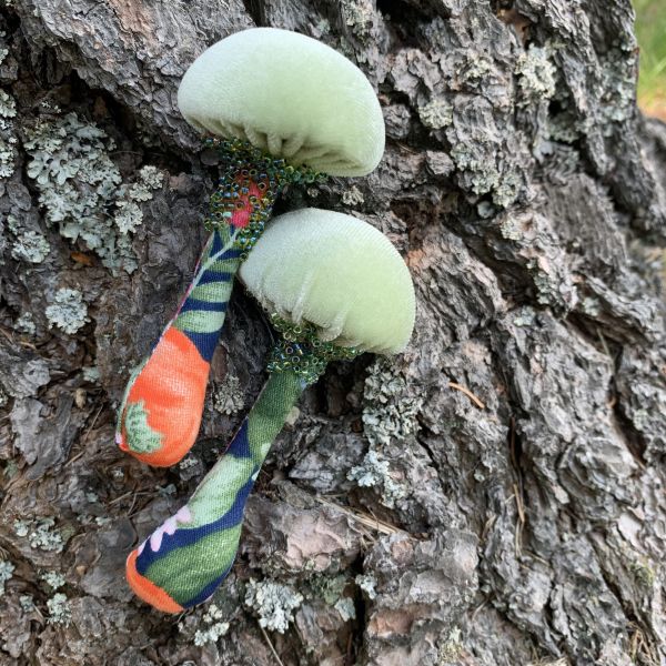 #bffmushroomboxset