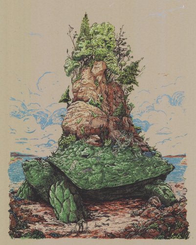 Turtles have Short legs