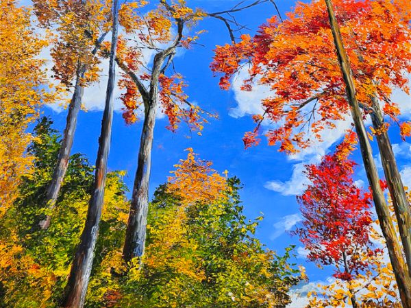 Skyward