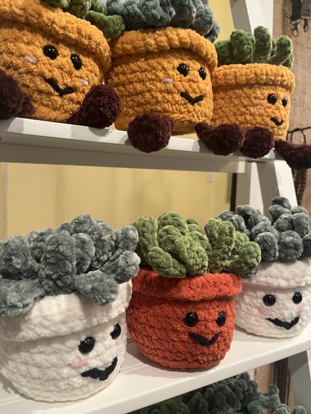 Smiley Potted Plants