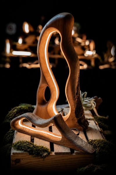 Sculptures with light
