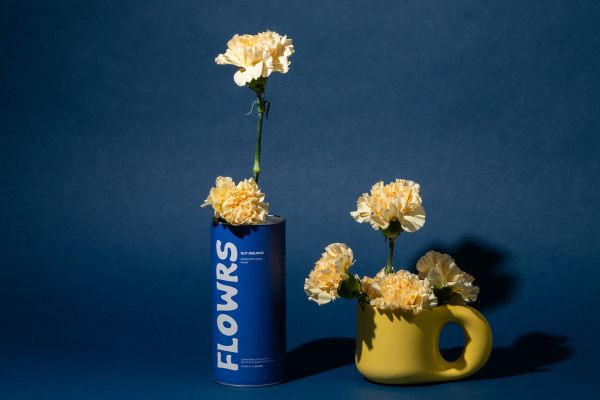 Gut Feelings Loose Leaf Tea