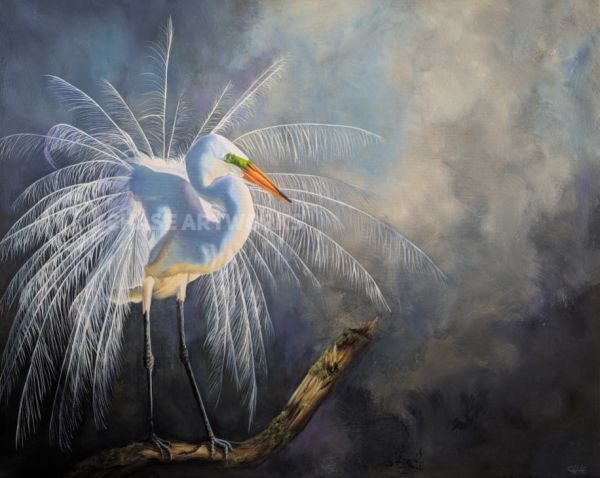 In The Stillness, He Shone