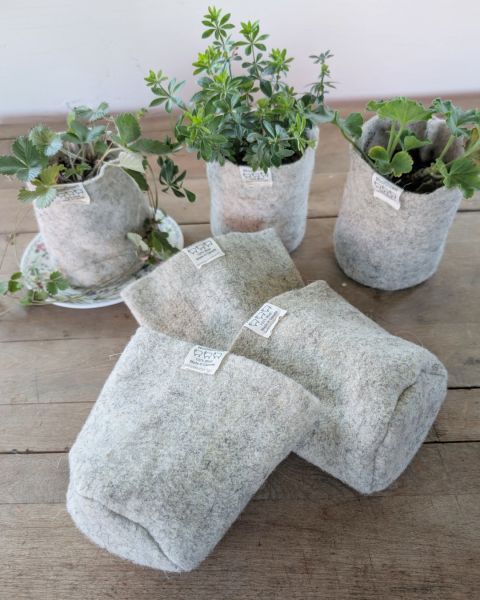 WoolGrown Wool Pots