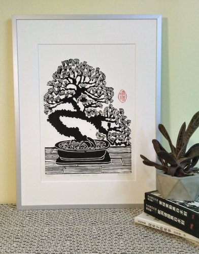 Bonsai Pine Tree