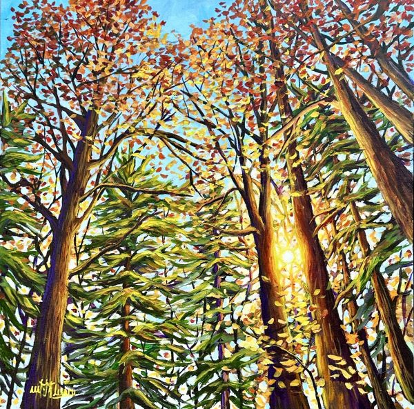 Light Through the Leaves