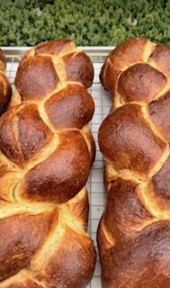 Greek sourdough brioche