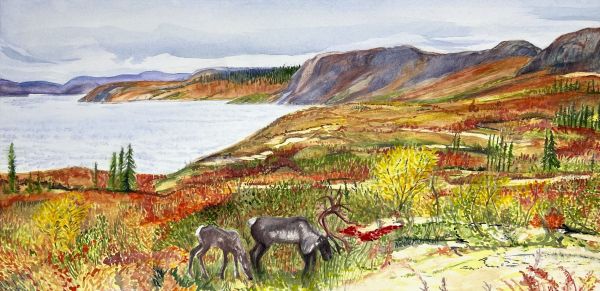 Bathurst Caribou Family