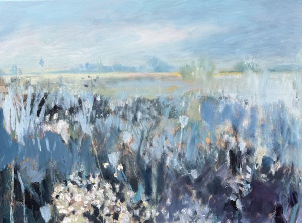 Blue Meadow