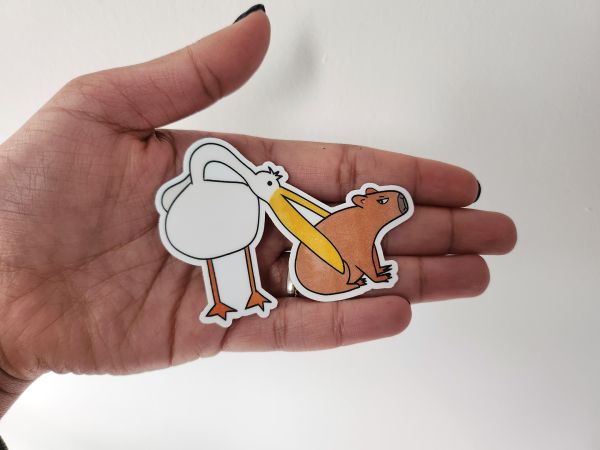pelican eats capybara sticker