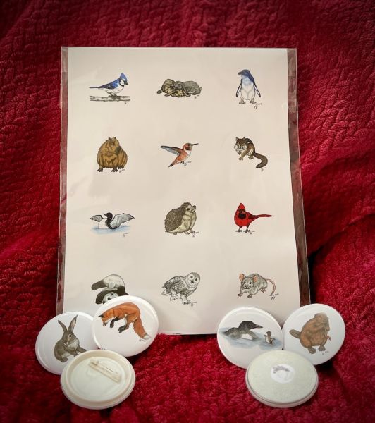 Stickers, Magnets, & Buttons