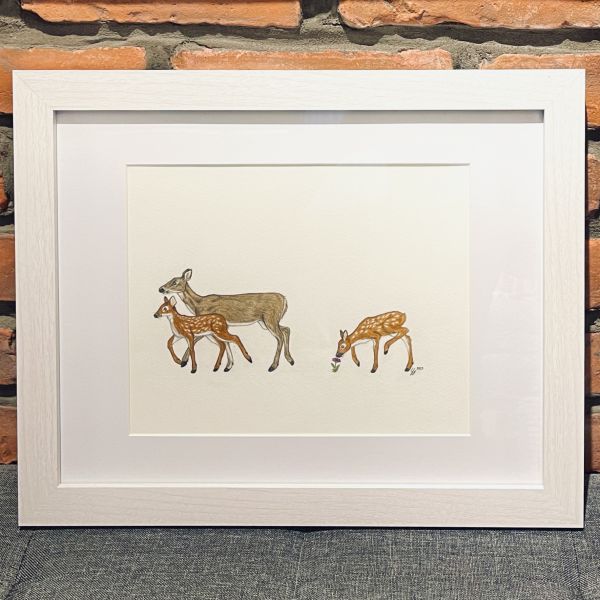 "Meet The Deer Family"