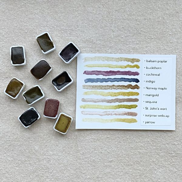 Watercolour Paints: pick a palette