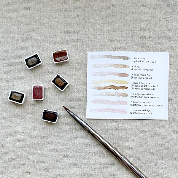 Watercolour Paints: mushroom pigments