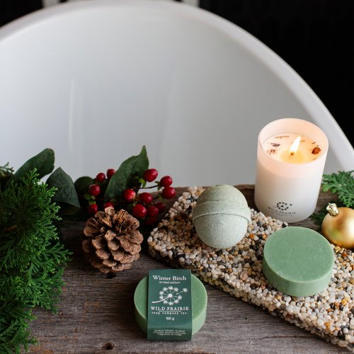 Winter Birch Collection