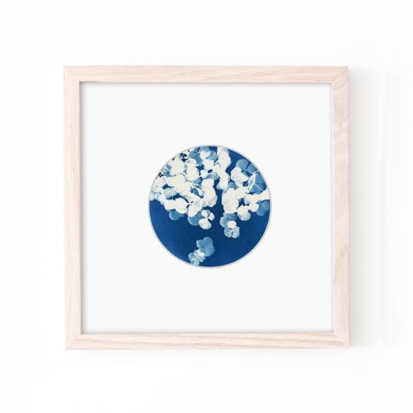 Tranquil Blooms